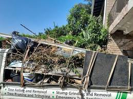 Best Yard Waste Removal  in Hardeeville, SC