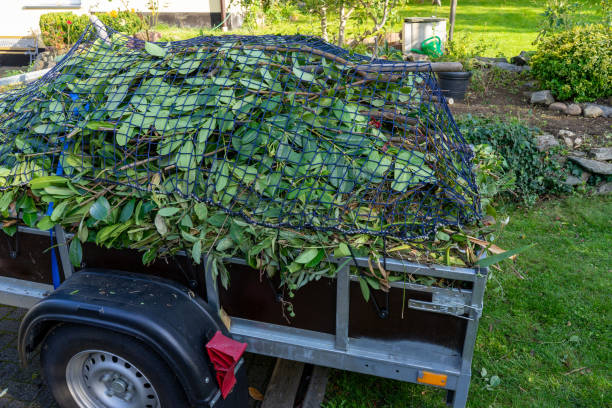 Best Carpet Removal and Disposal  in Hardeeville, SC
